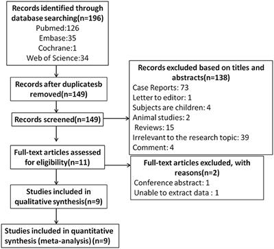 Retinal microvasculature features in patients with migraine: a systematic review and meta-analysis